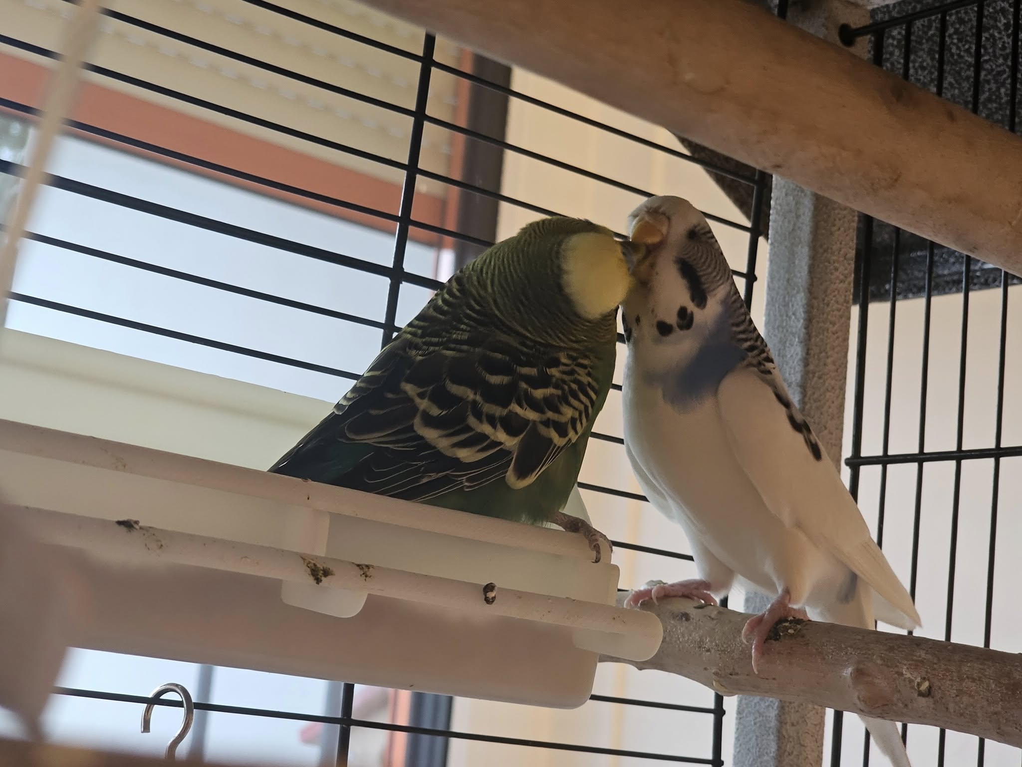 Keine Fotobeschreibung verfügbar.