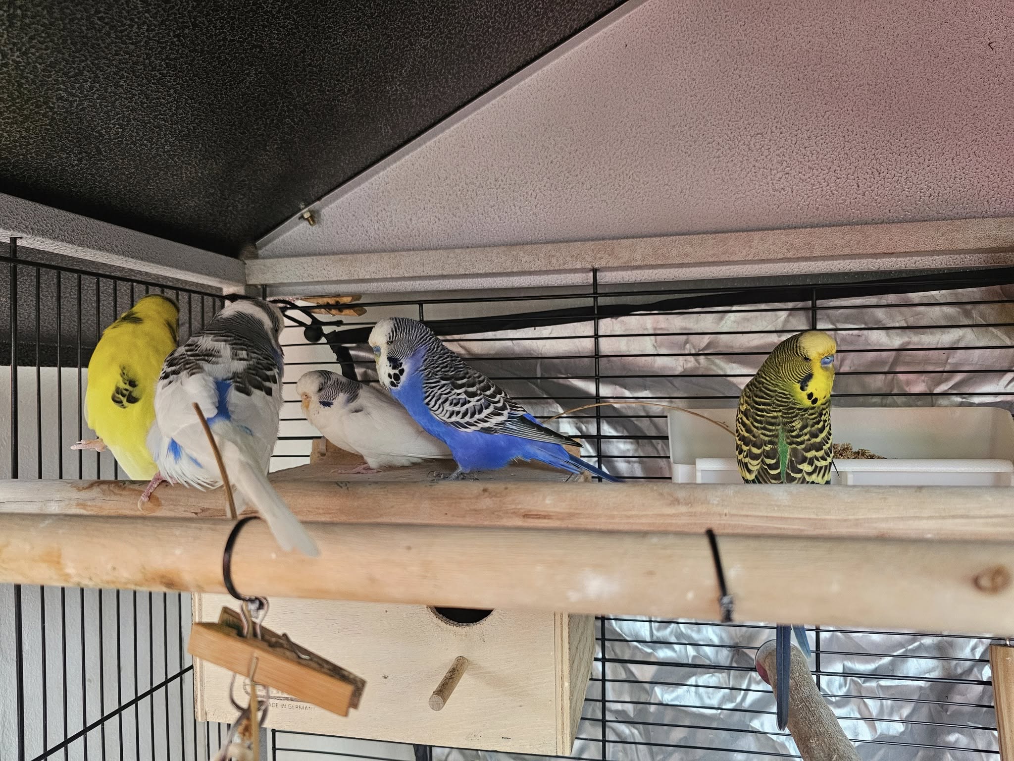 Keine Fotobeschreibung verfügbar.